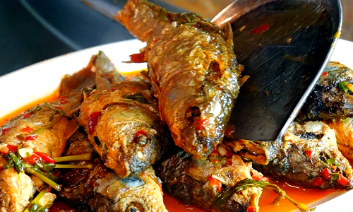 Rice-Fish