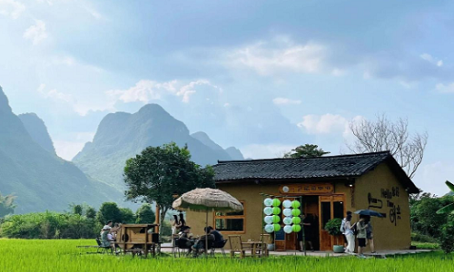 Xitang-Rice-Field-Coffee